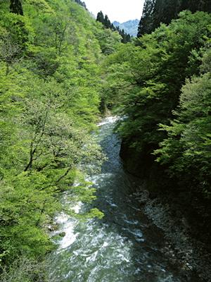 神奈川県相模原市に位置する東横INN横浜線淵野辺駅南口の魅力と詳細情報