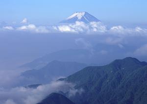中島屋グランドホテル｜静岡の心温まるホスピタリティと多彩なレストラン体験