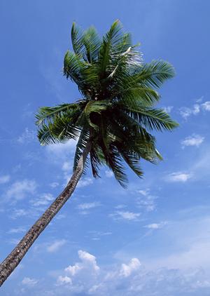長野県上田市にある快適な滞在を提供する東横INN上田駅前の魅力と特徴