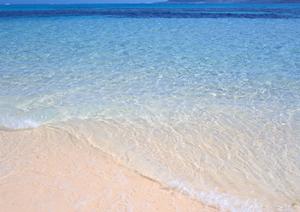 【完全ガイド】東京のビジネスホテル「東横INN」の魅力と実態紹介