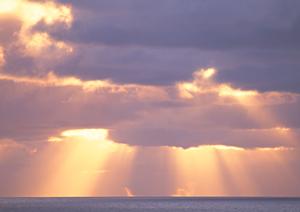 津駅徒歩3分の快適ビジネスホテル【東横INN津駅西口】の魅力と詳細ガイド