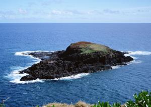 2026年最新ガイド：新宿でクラブを楽しむための必須情報とおすすめスポット