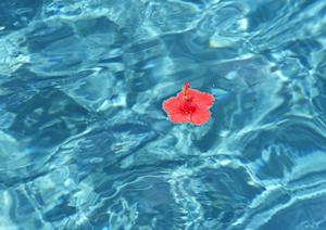 下田市で過ごす至福のひととき！家族向けおすすめホテル完全ガイド