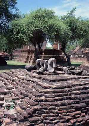 東京都町田市のビジネスホテル｜東横INN町田駅小田急線東口の魅力と特徴