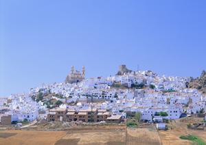 石垣島自然満喫！星空ツアーで特別体験を楽しむ方法