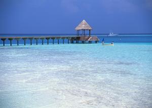 羽田空港アクセス抜群！東横INN羽田空港2の魅力と詳細情報