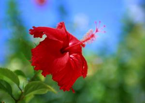 2026年最新版 薩摩川内市のリサイクルショップ完全ガイド|高価買取と選び方のポイント