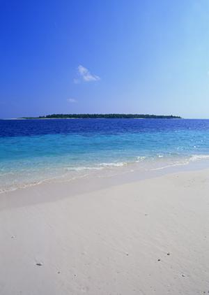 【公式情報に基づく】東横INN日本橋人形町：ビジネス＆観光に最適な快適ホテルガイド